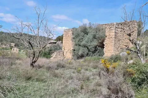Finca i Caseres, Tarragona, Caseres - € 27 000 | Ref: Riverside Am - foto 17