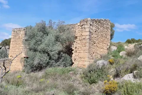 Finca i Caseres, Tarragona, Caseres - € 27 000 | Ref: Riverside Am - foto 16