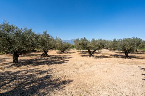 Finca i Roquetes, Tarragona, Roquetes - € 25.000 | Ref: 341 - foto 9