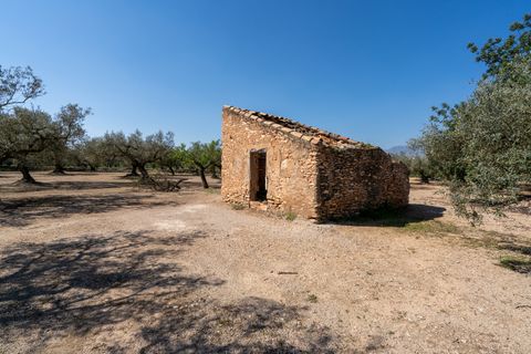 Finca i Roquetes, Tarragona, Roquetes - € 25.000 | Ref: 341 - foto 3