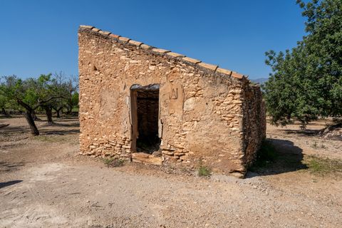 Finca i Roquetes, Tarragona, Roquetes - € 25.000 | Ref: 341 - foto 4