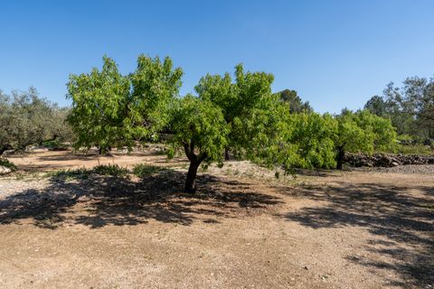 Finca i Roquetes, Tarragona, Roquetes - € 25.000 | Ref: 341 - foto 8