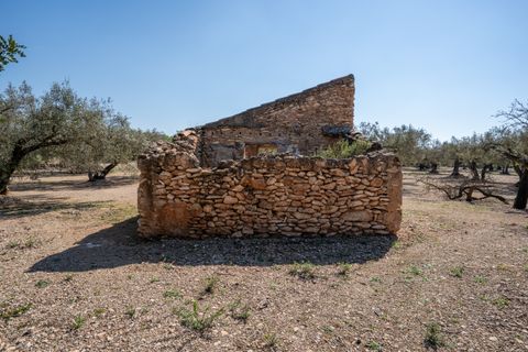 Finca i Roquetes, Tarragona, Roquetes - € 25.000 | Ref: 341 - foto 2