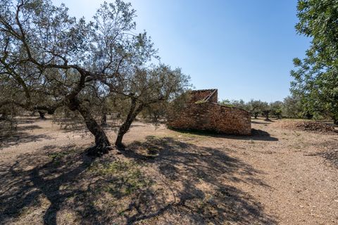 Finca i Roquetes, Tarragona, Roquetes - € 25.000 | Ref: 341 - foto 5