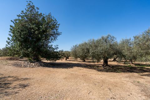 Finca i Roquetes, Tarragona, Roquetes - € 25.000 | Ref: 341 - foto 12