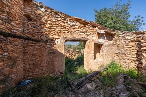 Finca i Roquetes, Tarragona, Roquetes - € 25.000 | Ref: 341 - foto 6