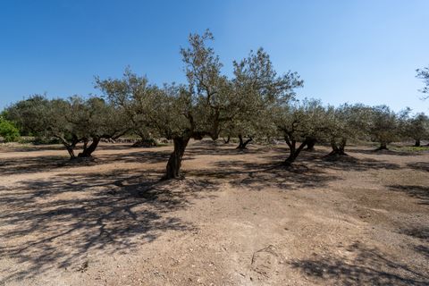 Finca i Roquetes, Tarragona, Roquetes - € 25.000 | Ref: 341 - foto 10