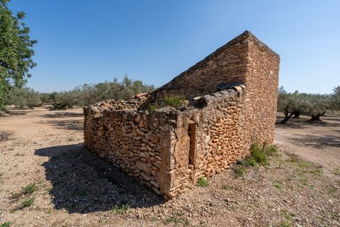 Finca i Roquetes, Tarragona, Roquetes - € 25.000 | Ref: 341 - foto 7