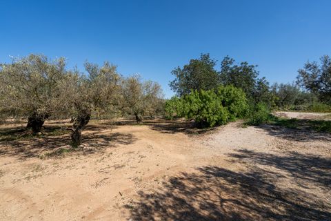 Finca i Roquetes, Tarragona, Roquetes - € 25.000 | Ref: 341 - foto 11