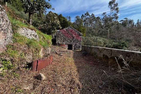 Villa i Arcos de Valdevez, Viana do Castelo, Arcos de Valdevez - € 50.000 | Ref: AVV-2390-MD-0225 - foto 5