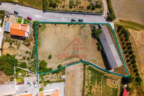 Erhvervsejendom i Ribamar, Lisbon, Ribamar - € 497.000 | Ref: M3639 TVD - foto 3