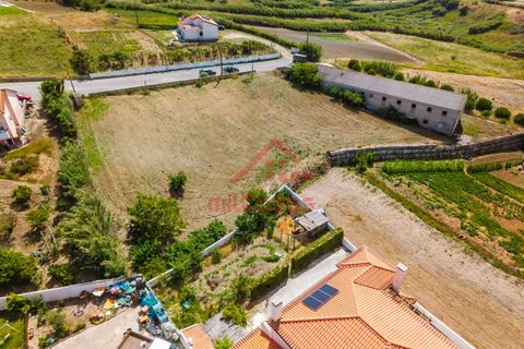 Erhvervsejendom i Ribamar, Lisbon, Ribamar - € 497.000 | Ref: M3639 TVD - foto 4