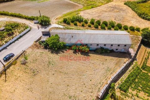 Erhvervsejendom i Ribamar, Lisbon, Ribamar - € 497.000 | Ref: M3639 TVD - foto 5