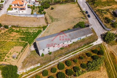 Erhvervsejendom i Ribamar, Lisbon, Ribamar - € 497.000 | Ref: M3639 TVD - foto 8