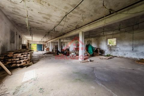 Erhvervsejendom i Ribamar, Lisbon, Ribamar - € 497.000 | Ref: M3639 TVD - foto 19