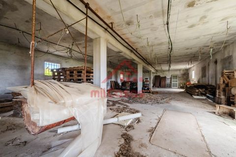 Erhvervsejendom i Ribamar, Lisbon, Ribamar - € 497.000 | Ref: M3639 TVD - foto 20