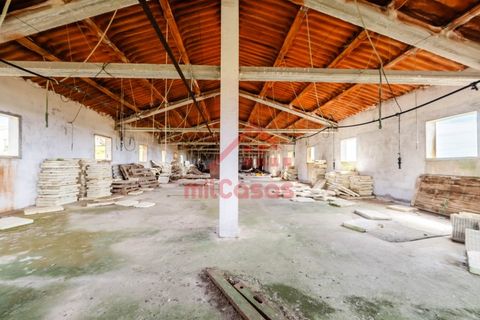 Erhvervsejendom i Ribamar, Lisbon, Ribamar - € 497.000 | Ref: M3639 TVD - foto 21