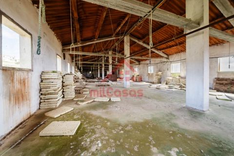 Erhvervsejendom i Ribamar, Lisbon, Ribamar - € 497.000 | Ref: M3639 TVD - foto 22