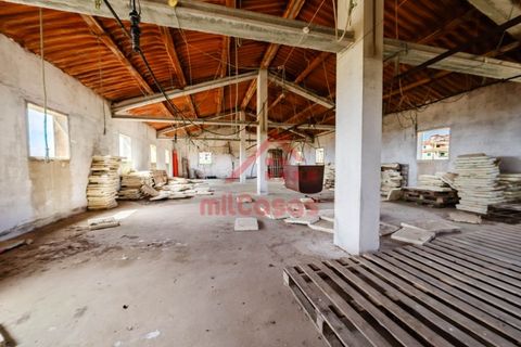 Erhvervsejendom i Ribamar, Lisbon, Ribamar - € 497.000 | Ref: M3639 TVD - foto 23