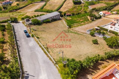 Erhvervsejendom i Ribamar, Lisbon, Ribamar - € 497.000 | Ref: M3639 TVD - foto 6