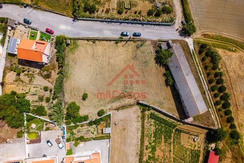 Erhvervsejendom i Ribamar, Lisbon, Ribamar - € 497.000 | Ref: M3639 TVD - foto 7