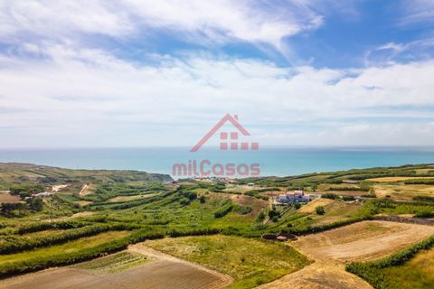 Erhvervsejendom i Ribamar, Lisbon, Ribamar - € 497.000 | Ref: M3639 TVD - foto 16