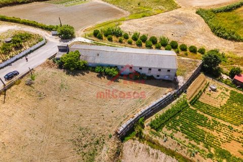 Erhvervsejendom i Ribamar, Lisbon, Ribamar - € 497.000 | Ref: M3639 TVD - foto 12