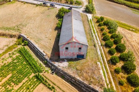 Erhvervsejendom i Ribamar, Lisbon, Ribamar - € 497.000 | Ref: M3639 TVD - foto 13