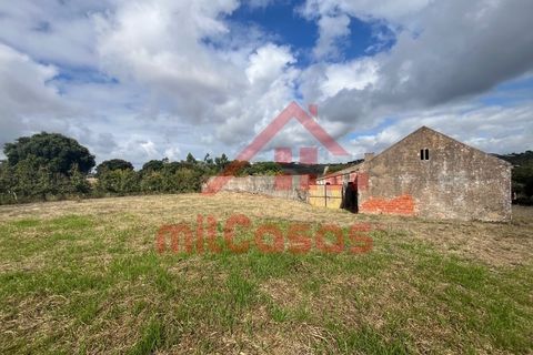 Farm i Carvalhal, Leiria, Carvalhal - € 170.000 | Ref: M3636 TVD (2) - foto 22