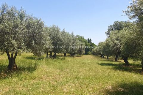 Villa i Aups, Var, Aups - € 1.090.000 | Ref: 86839184 - foto 20