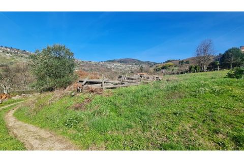 Terreno en Gestaco, Porto, Gestaco - € 120.000 | Ref: MC09909 - photo 2