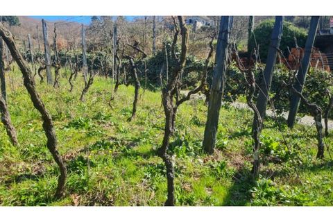 Terreno en Gestaco, Porto, Gestaco - € 120.000 | Ref: MC09909 - photo 3