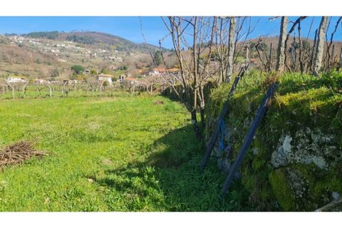 Terreno en Gestaco, Porto, Gestaco - € 120.000 | Ref: MC09909 - photo 4