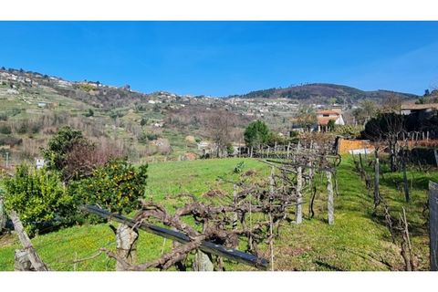 Terreno en Gestaco, Porto, Gestaco - € 120.000 | Ref: MC09909 - photo 5
