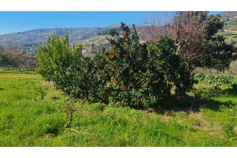 Terreno en Gestaco, Porto, Gestaco - € 120.000 | Ref: MC09909 - photo 6