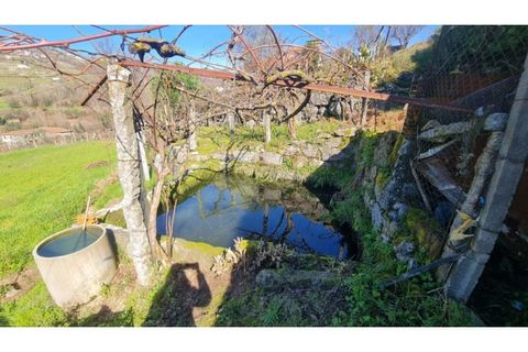 Terreno en Gestaco, Porto, Gestaco - € 120.000 | Ref: MC09909 - photo 8