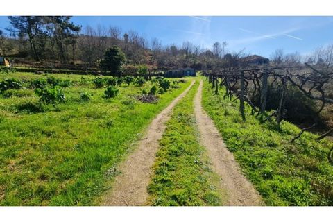 Terreno en Gestaco, Porto, Gestaco - € 120.000 | Ref: MC09909 - photo 11