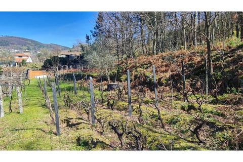 Terreno en Gestaco, Porto, Gestaco - € 120.000 | Ref: MC09909 - photo 13