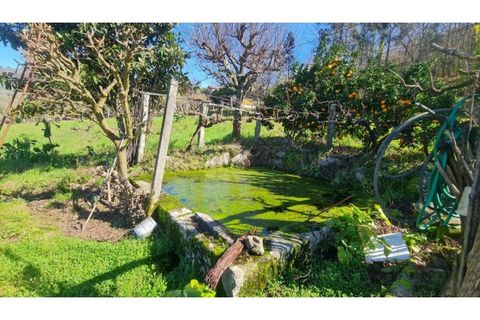 Terreno en Gestaco, Porto, Gestaco - € 120.000 | Ref: MC09909 - photo 15