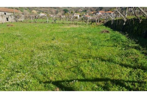 Terreno en Gestaco, Porto, Gestaco - € 120.000 | Ref: MC09909 - photo 16