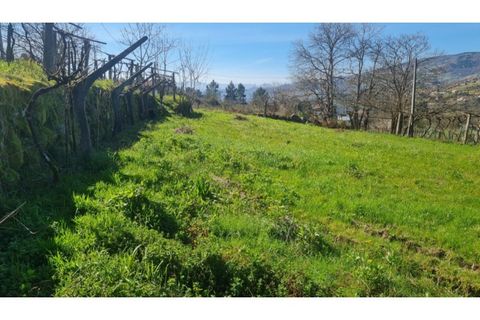 Terreno en Gestaco, Porto, Gestaco - € 120.000 | Ref: MC09909 - photo 19