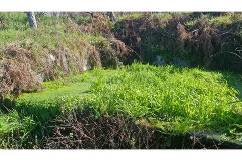 Terreno en Gestaco, Porto, Gestaco - € 120.000 | Ref: MC09909 - photo 20
