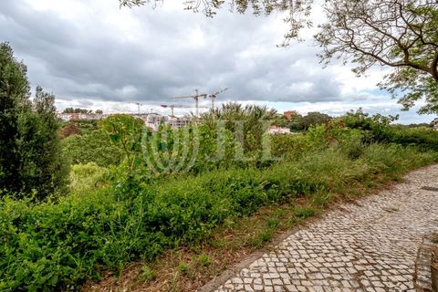 Terra a Barcarena, Lisbon, Barcarena - € 845.000 | Ref: 96596 - foto 10