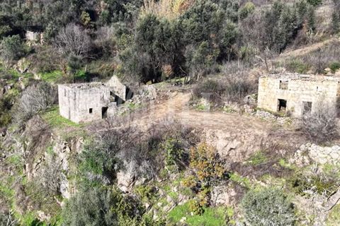 Helårsgrund i Ancede e Ribadouro, Porto, Ancede e Ribadouro - € 380.000 | Ref: 96355 - foto 11