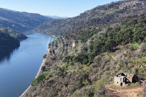 Helårsgrund i Ancede e Ribadouro, Porto, Ancede e Ribadouro - € 380.000 | Ref: 96355 - foto 12