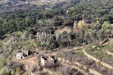 Helårsgrund i Ancede e Ribadouro, Porto, Ancede e Ribadouro - € 380.000 | Ref: 96355 - foto 13