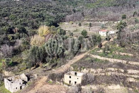 Helårsgrund i Ancede e Ribadouro, Porto, Ancede e Ribadouro - € 380.000 | Ref: 96355 - foto 14