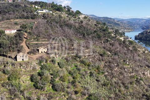 Helårsgrund i Ancede e Ribadouro, Porto, Ancede e Ribadouro - € 380.000 | Ref: 96355 - foto 16