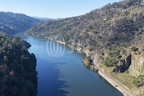 Helårsgrund i Ancede e Ribadouro, Porto, Ancede e Ribadouro - € 380.000 | Ref: 96355 - foto 18