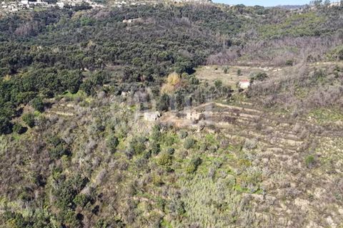 Helårsgrund i Ancede e Ribadouro, Porto, Ancede e Ribadouro - € 380.000 | Ref: 96355 - foto 19